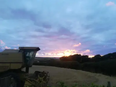 a sunset over a field with a dirt road at Trevose, sea views in Port Isaac