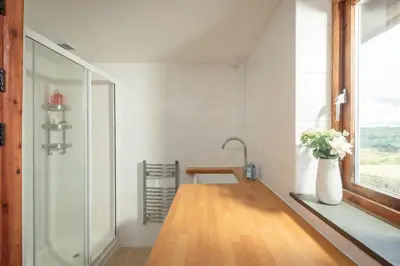 a bathroom with a shower and a vase of flowers at The Hut in Bodmin