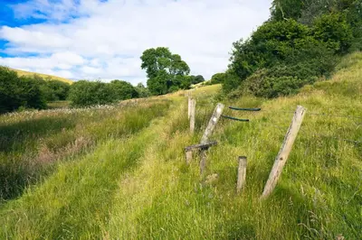 a barbed wire fence in a field of grass at Ta Mill Cottages & Lodges - Pump Cottage in Launceston