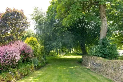 a garden with a tree and a stone wall at Ta Mill Cottages & Lodges - Hayloft Cottage in Launceston