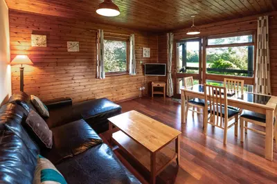a living room with a leather couch and a table at Ta Mill Cottages & Lodges - Brookview Lodge 1 in Launceston