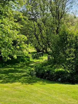 a park with a bench and trees and grass at Ta Mill Cottages & Lodges - Brookview Lodge 3 in Launceston