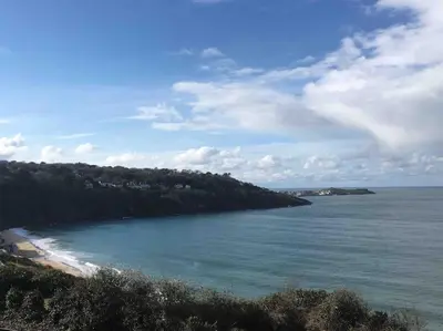 a view of a beach with trees and the ocean at Stylish coastal retreat in St Ives with parking in St Ives