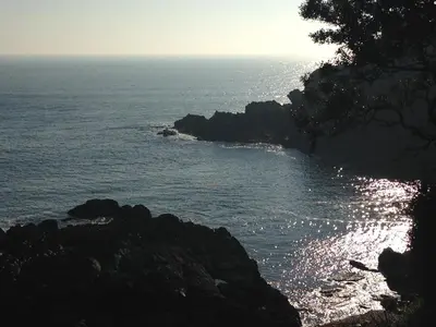 a view of the ocean from a cliff at Bay View, Millendreth Looe Cornwall in Looe