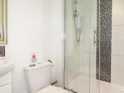 a bathroom with a toilet and a shower at Peony Cottage in St Austell