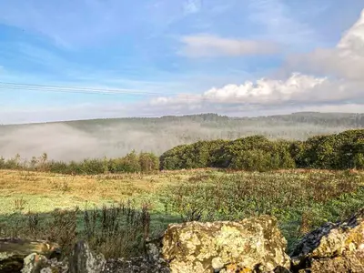 a field with fog in a field with rocks and trees at Sage Cottage in Truro