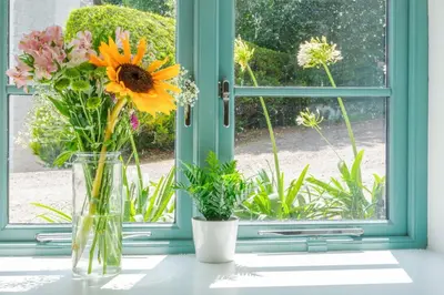 two vases of flowers sitting on a window sill at Newlyn in Budock Water