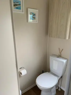 a bathroom with a white toilet and a roll of toilet paper at Newquay Bay Resort 63 in Porth