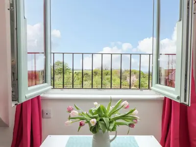 a vase of flowers on a table in front of a window at Higher Kernick View in Bodmin