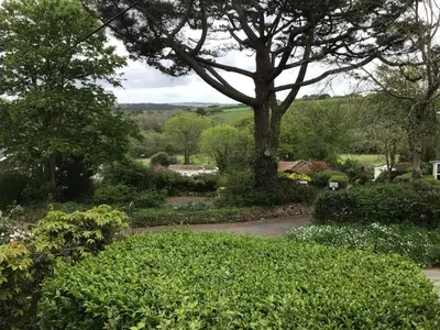 a garden with a tree and some bushes at Cozy Camborne Studio Retreat with two single beds in Camborne