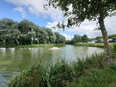a body of water with a tree and grass at White Acre's Holiday Park, 602 Sycamore Forest in Saint Enoder