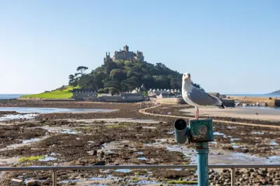 a seagull sitting on a post on the beach at Carvossa - Sea Views & Woodburner in Marazion