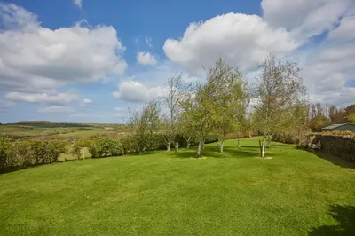 a group of trees in a field of grass at Meadow View in Newquay