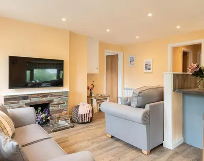 a living room with a couch and a tv and a fireplace at Brookside in Polzeath
