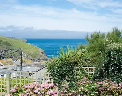 a view of the ocean from a garden with flowers at Albany in Port Isaac