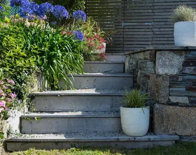 a set of concrete stairs with flowers and plants at Albany in Port Isaac