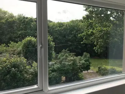 a window with a view of a tree at A woodland retreat - Apartment in converted mill in Helston