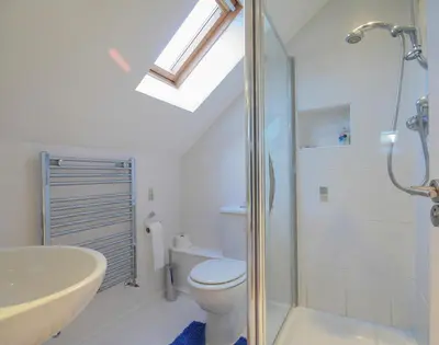 a bathroom with a shower and a toilet and a sink at Pendaveli in Polzeath