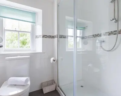 a white bathroom with a shower and a toilet at Conifers in Saint Minver