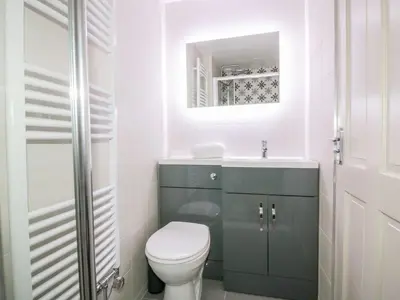 a bathroom with a toilet and a sink and a mirror at Apple Barn in Newquay