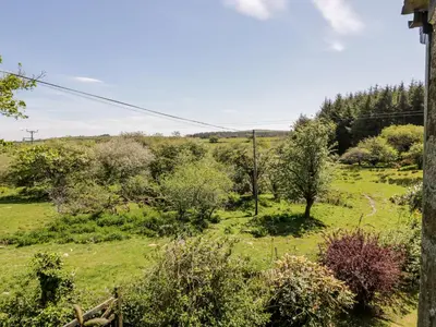 a view of a field with trees and grass at Little Trespettigue in Launceston