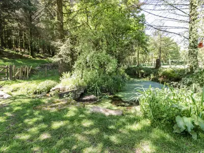 a stream in a garden with grass and trees at Little Trespettigue in Launceston