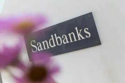 a sign that readssandeatbreaks on a wall with purple flowers at Sandbanks in Penzance