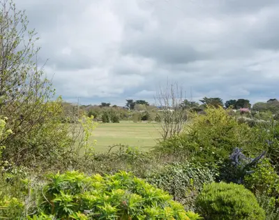 a field of grass with bushes and trees at Penny Liggan in Padstow