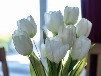 a bunch of white tulips in a vase at Hillview in Wadebridge
