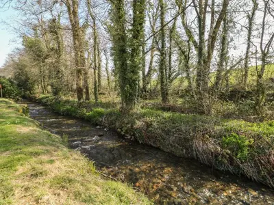 a stream in the middle of a forest with trees at Ballasalla in Liskeard