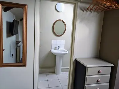 a bathroom with a sink and a mirror at Cosy barn on rural smallholding with alpacas, goats & pigs in Stithians