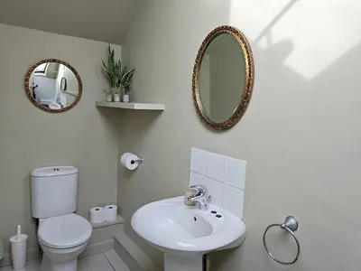 a bathroom with a toilet and a sink and a mirror at Cosy barn on rural smallholding with alpacas, goats & pigs in Stithians