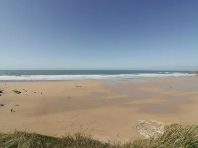 a beach with a bunch of birds on the sand at Fistral Watch in Newquay