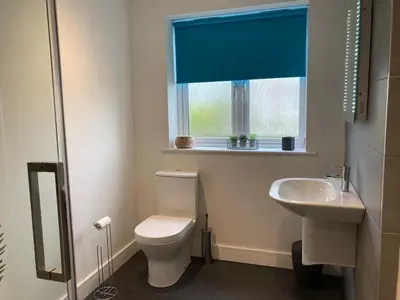 a bathroom with a toilet and a sink and a window at Saffron in Saint Columb Minor