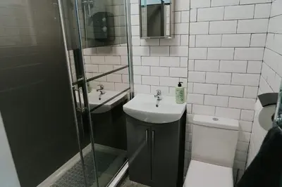 a bathroom with a sink and a shower and a toilet at Newquay Holiday Home in Newquay