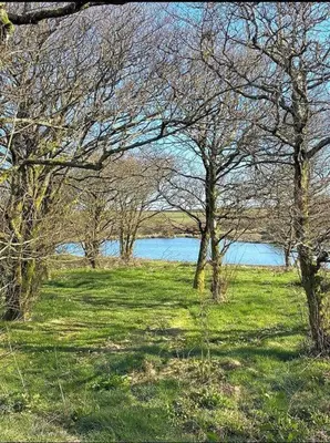 a group of trees in a field next to a lake at Venn Down Lakes in Boscastle
