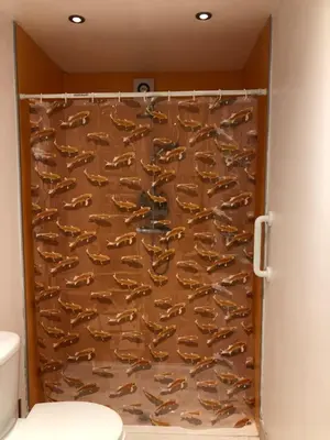 a shower curtain with fish on it in a bathroom at Puffin. Comfortable Annexe Central Falmouth in Falmouth