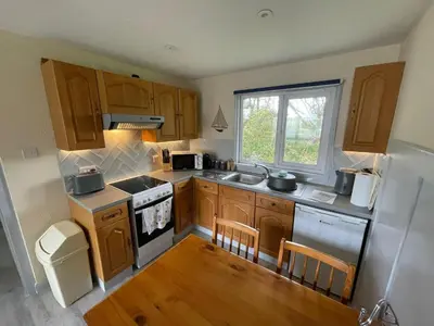 a small kitchen with wooden cabinets and a window at 81 Hengar Manor in Bodmin