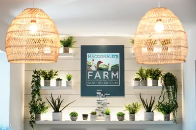 a room with potted plants on shelves at Macdonald's Farm in Saint Ervan