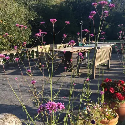 a group of benches in a garden with flowers at Romantic, secluded cottage in Cardinham Woods, Cornwall in Cardinham