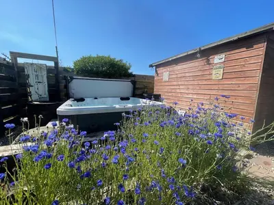 a garden with a hot tub and purple flowers at Baywatch Mawgan Porth Spacious Home sleeps 9, Games room, Parking & Garden in Mawgan Porth