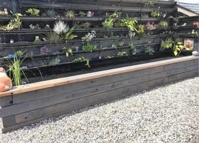 a raised garden bed with plants in it at Loggans Lodge in Hayle