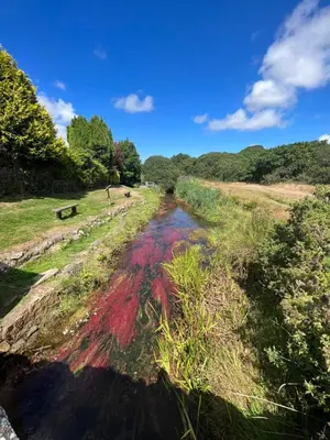 a stream with colorful paint on the side of a field at Gold 10 - Cornish Coastal Retreats in Saint Hilary