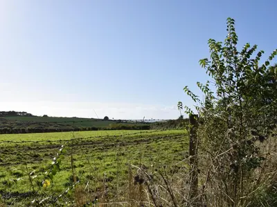 a field with a fence and a tree in the foreground at Honeysuckle Cottage in Cury