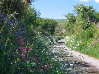a garden with flowers on a dirt road at Bee Cottage in Hayle