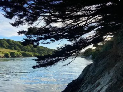 a view of a river with a tree at Lovely 2 Bedroom flat moments from Fistral Newquay in Newquay
