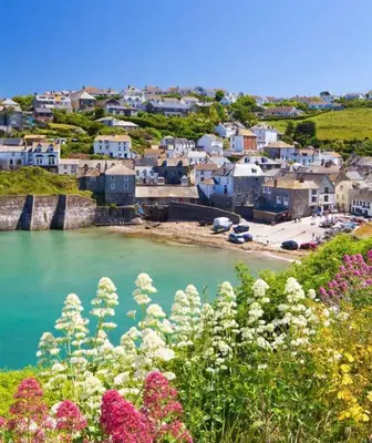 a small town on the shore of a body of water at Sunny Corner in Port Isaac