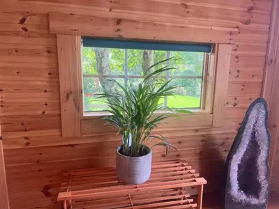 a plant sitting on a bench in a room with a window at The Hobbit Hole in Zelah