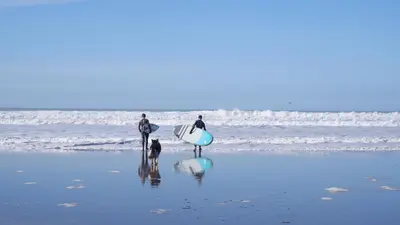three surfers are standing on the beach with their surfboards at Polrunny Farm sea view Blueberry Cottage with log burner in Boscastle