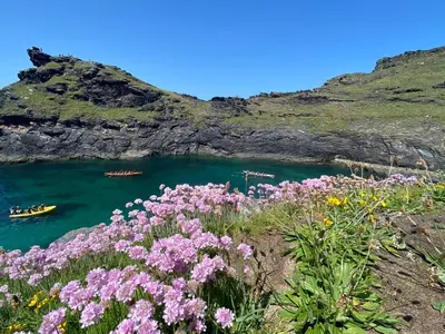 a bunch of flowers on the side of a body of water at Polrunny Farm sea view Blueberry Cottage with log burner in Boscastle
